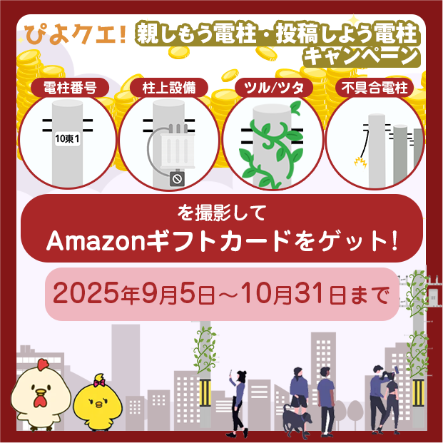 ぴよクエ!親しもう電柱・投稿しよう電柱キャンペーン 電柱番号・柱上設備・ツル/ツタ・不具合電柱を撮影してAmazonギフトカードをゲット!2025年9月5日〜10月31日まで
